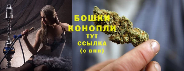 прущие грибы Белоозёрский
