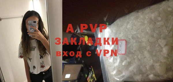 прущие грибы Белоозёрский