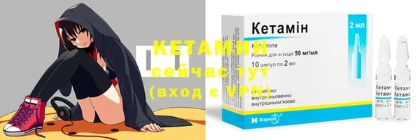прущие грибы Белоозёрский