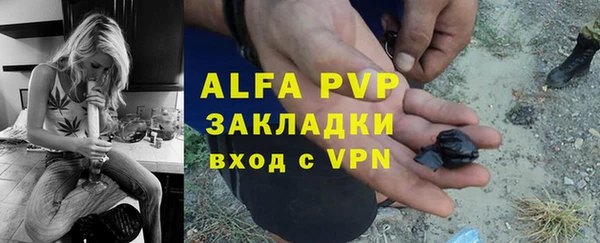 прущие грибы Белоозёрский